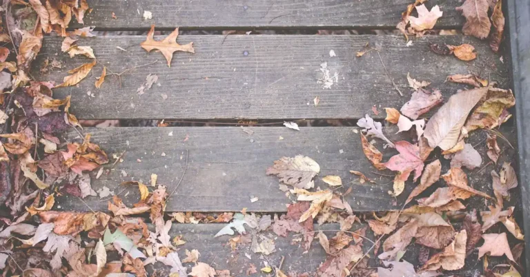 Weathered wood deck boards with gaps between planks and fallen leaves