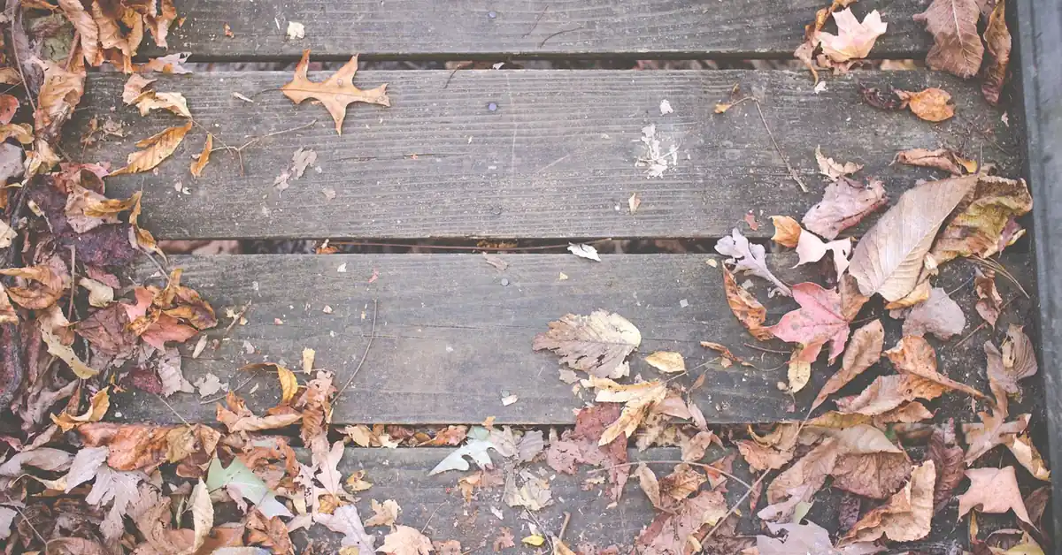 Weathered wood deck boards with gaps between planks and fallen leaves