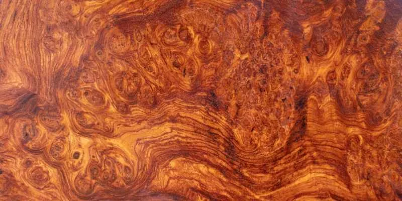 finished burl wood slab showing polished swirling grain and rich color