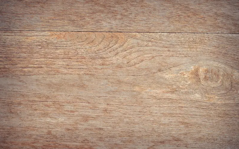 closeup of white oak wood grain with a natural knot closeup of white oak wood grain with a natural knot
