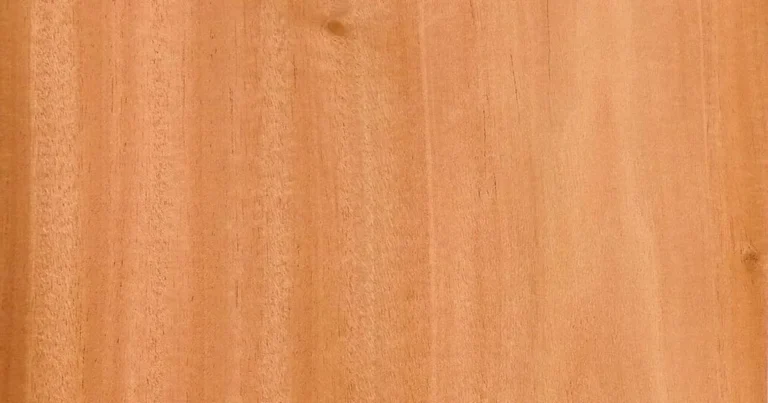 Close-up of reddish-brown mahogany wood grain