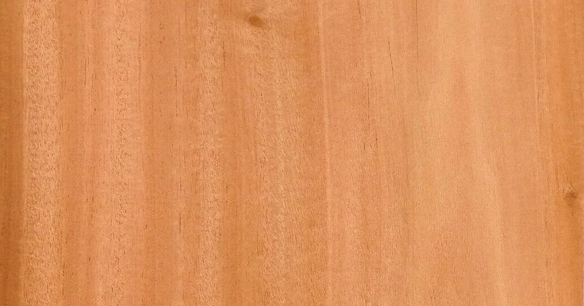 Close-up of reddish-brown mahogany wood grain