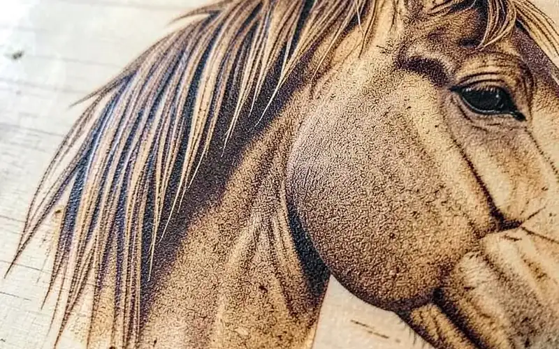 Close-up of wood-burned horse mane showing individual hair strokes and shading Close-up of wood-burned horse mane showing individual hair strokes and shading