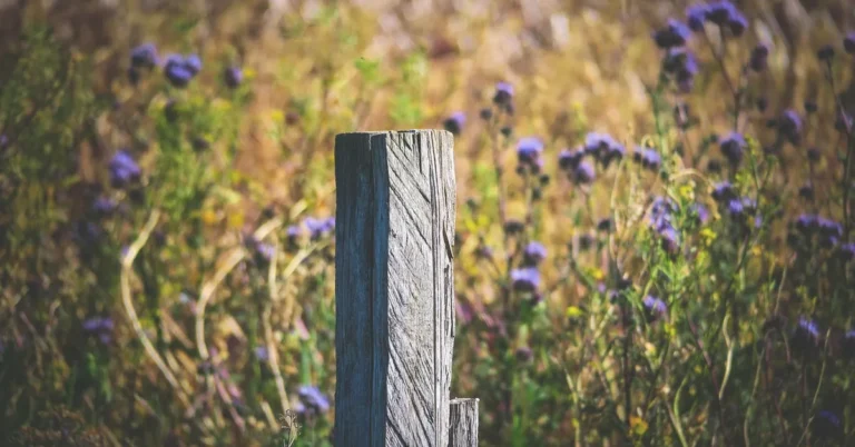 Weathered wooden fence post standing in soil surrounded by grass and wildflowers