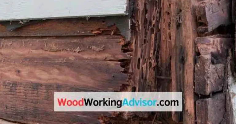 Close-up of wood rot damage on a deck board next to house siding