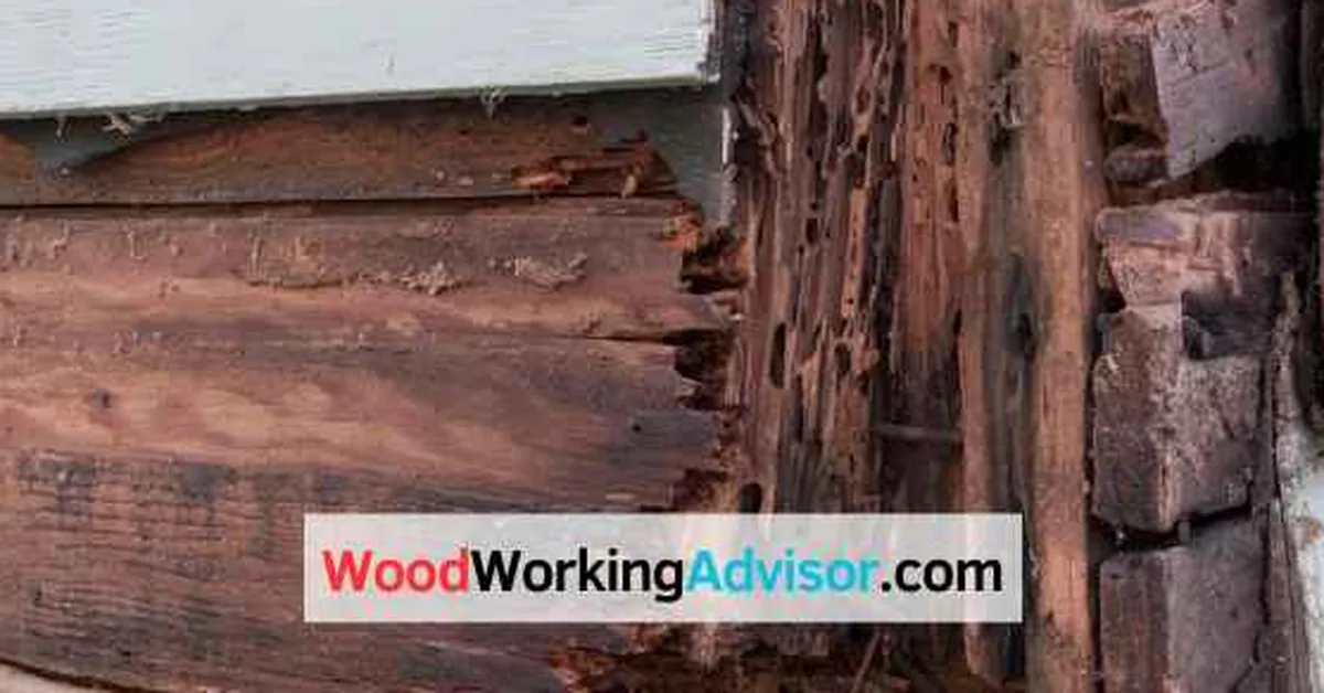 Close-up of wood rot damage on a deck board next to house siding