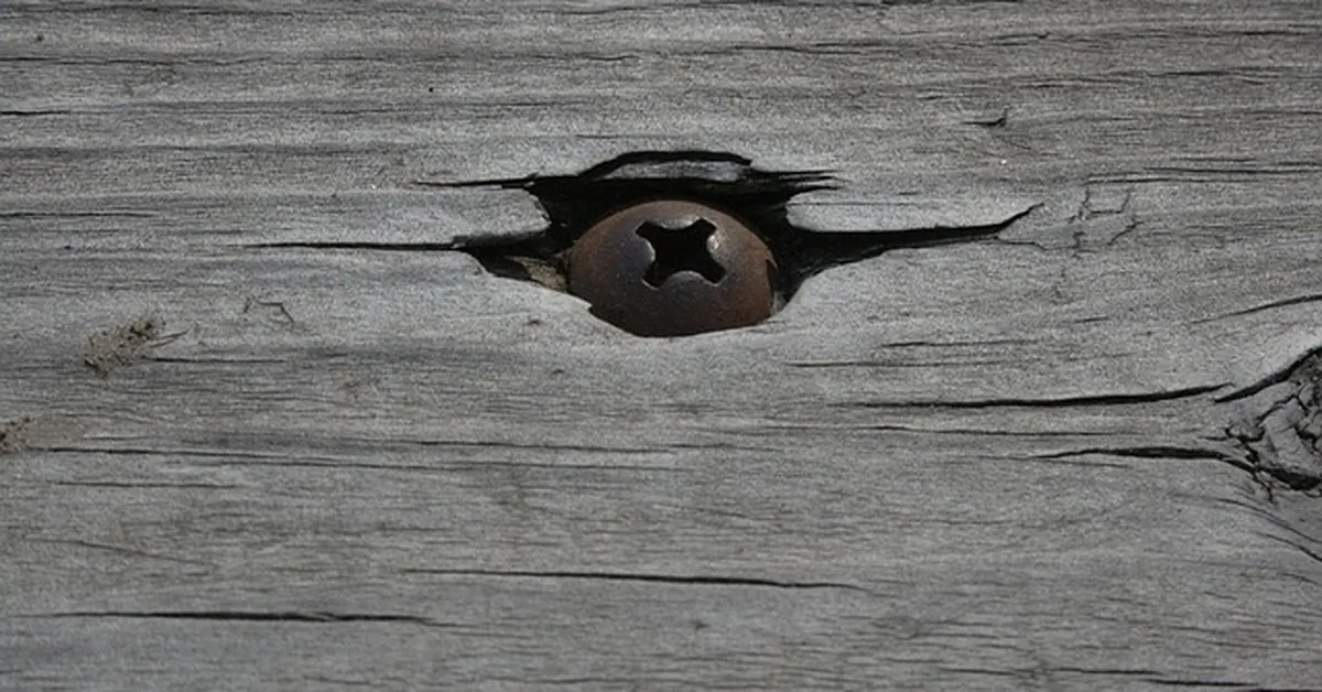 Rusty screw head in a cracked wood plank hole before filling