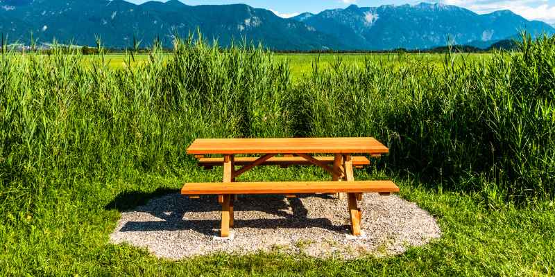 Can I Use Pressure Treated Wood for a Picnic Table