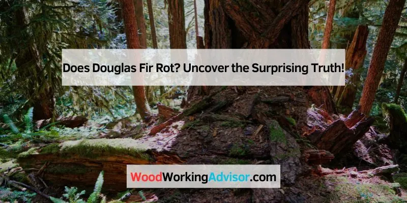 Does Douglas Fir Rot