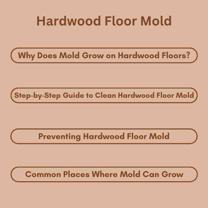 Hardwood Floor Mold