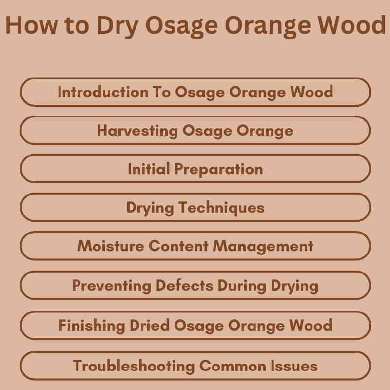 How to Dry Osage Orange Wood