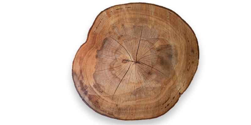 How to Dry Wood Logs Without Cracking