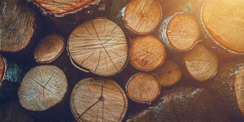 Dry Wood for Coasters