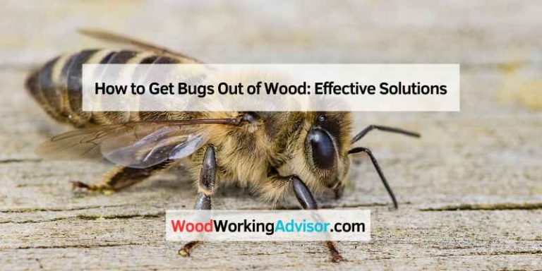 How to Get Bugs Out of Wood