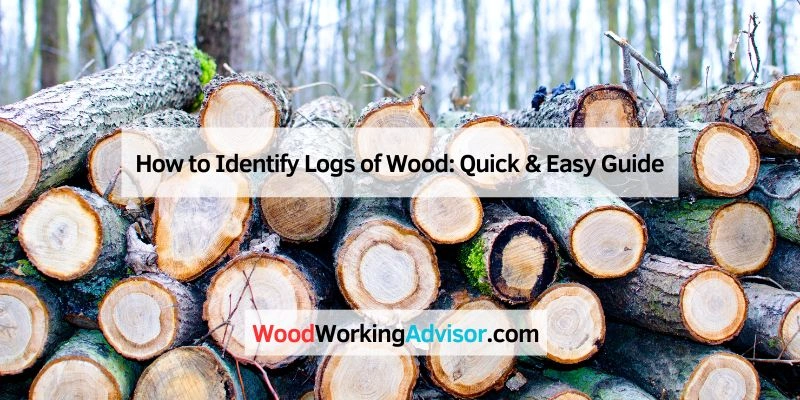 How to Identify Logs of Wood