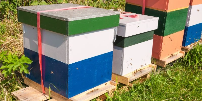 How to Make Bee Hives Out of Plywood