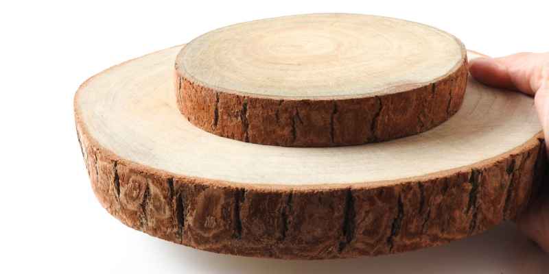 How to Preserve Oak Wood Slices