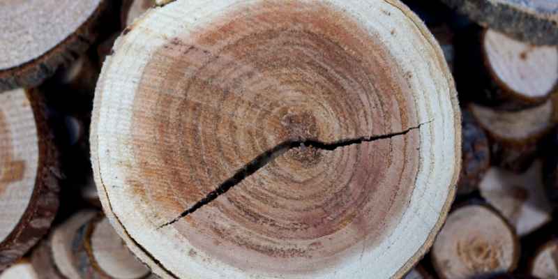 How to Prevent Wood Slices from Cracking