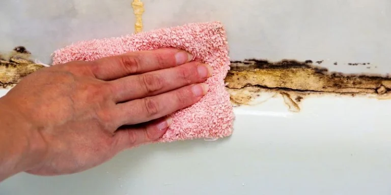 How to Remove Mold from Rough Cut Wood