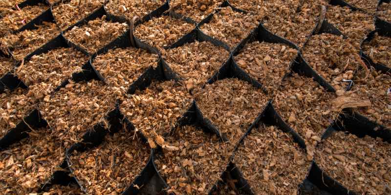 How to Use Wood Shavings in the Garden: 5 Genius Tips