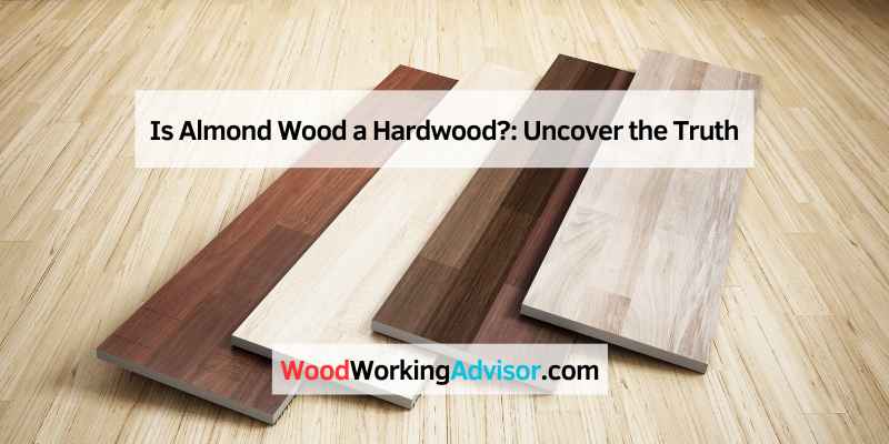 Is Almond Wood a Hardwood