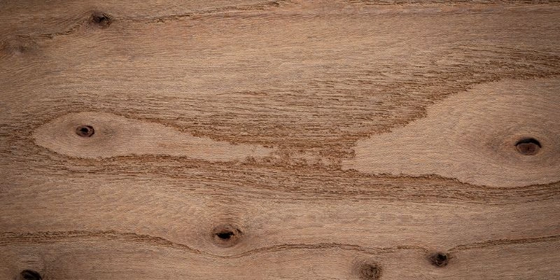 Is Chinese Elm a Hardwood