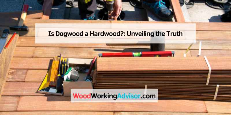 Is Dogwood a Hardwood