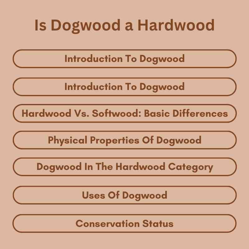 Is Dogwood a Hardwood