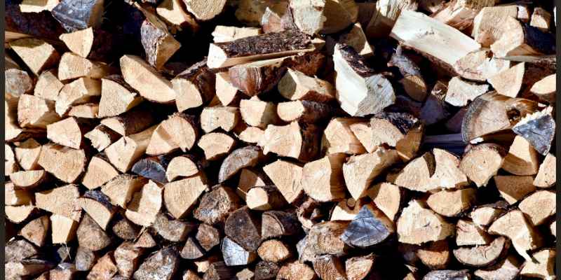 Is Manitoba Maple Good Firewood