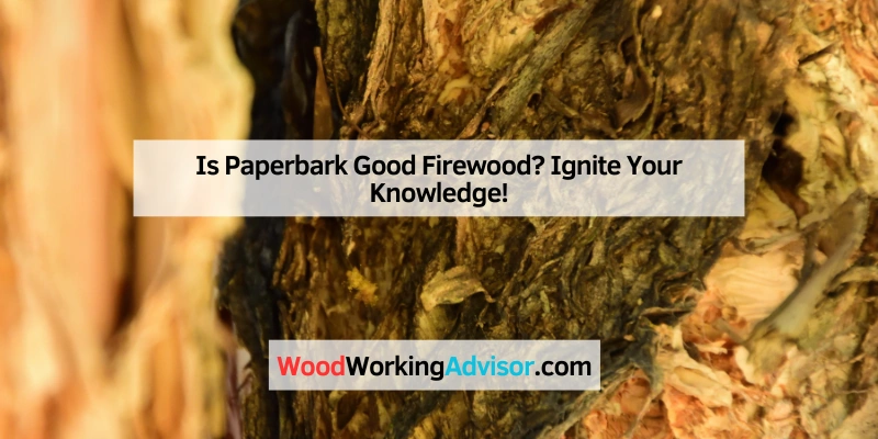 Is Paperbark Good Firewood