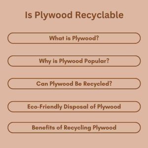 Is Plywood Recyclable