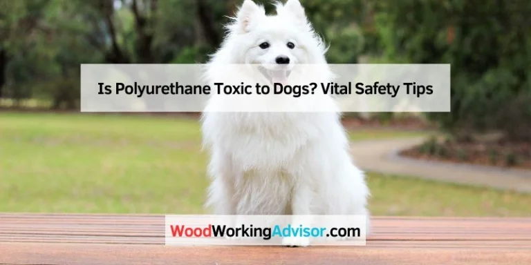 Is Polyurethane Toxic to Dogs