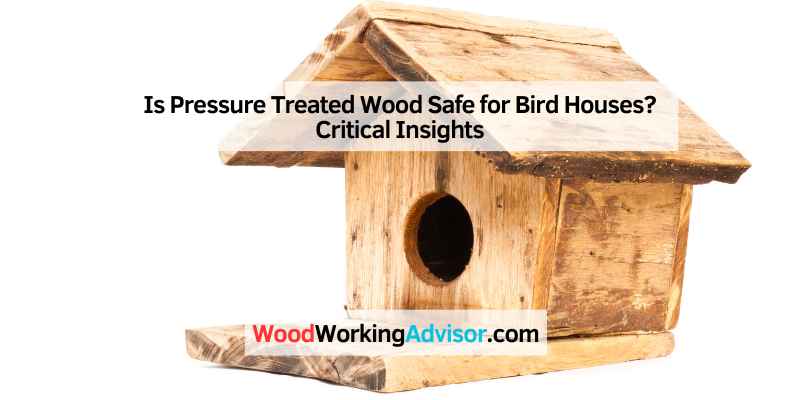 Is Pressure Treated Wood Safe for Bird Houses