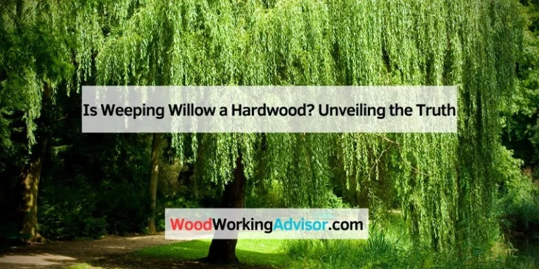 Is Weeping Willow a Hardwood