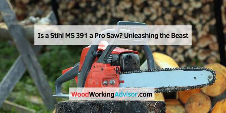 Is a Stihl MS 391 a Pro Saw