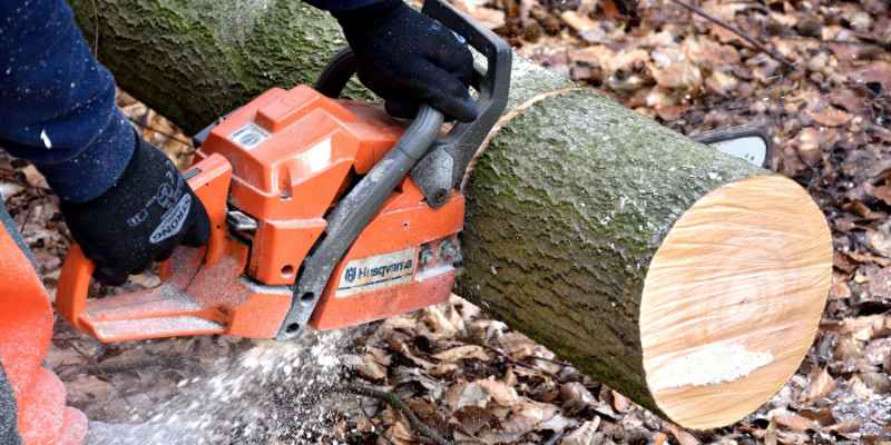 Is a Stihl MS 391 a Pro Saw
