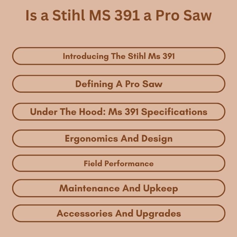 Is a Stihl MS 391 a Pro Saw