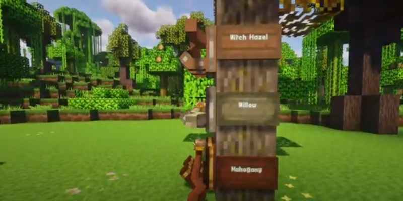 Minecraft How to Find a Woodland Mansion