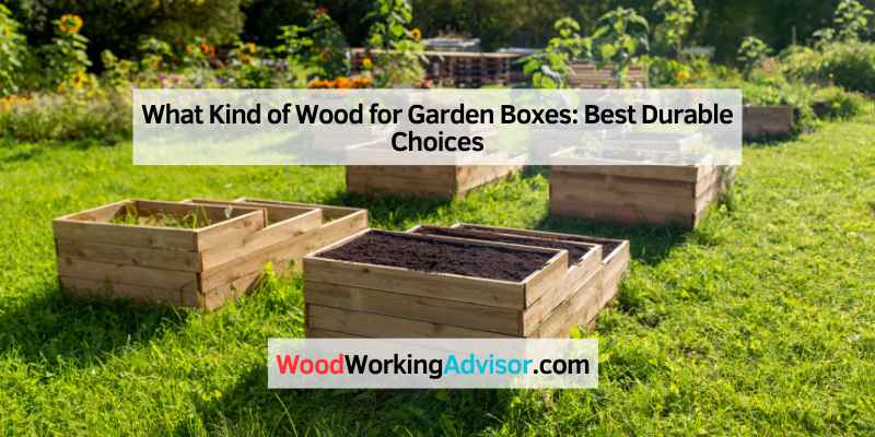 What Kind of Wood for Garden Boxes