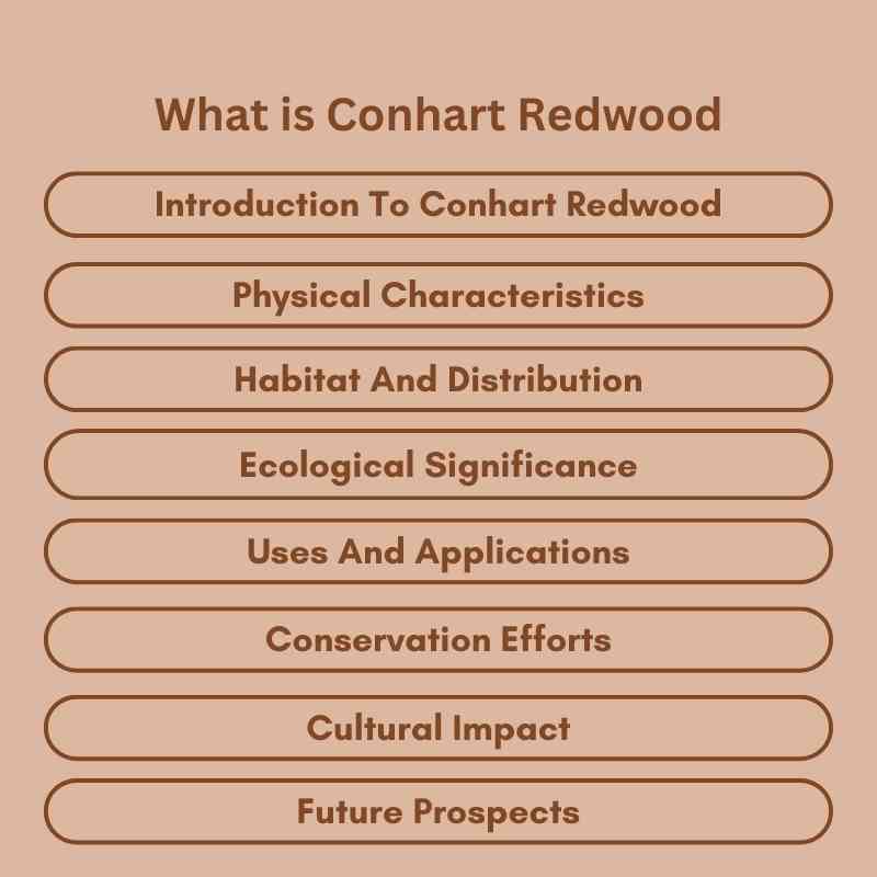 What is Conhart Redwood
