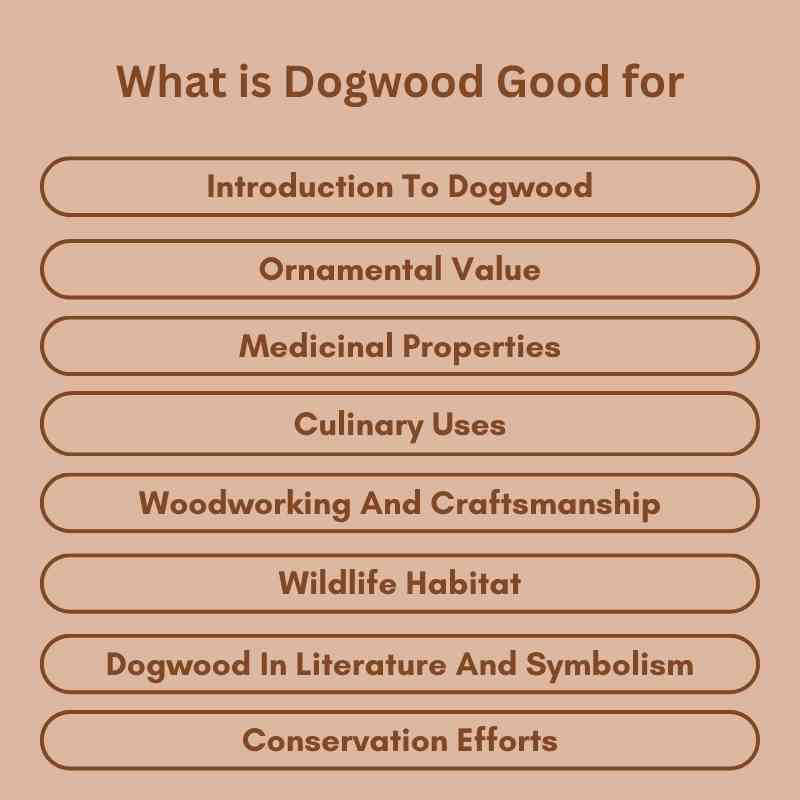 What is Dogwood Good for