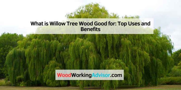 What is Willow Tree Wood Good for