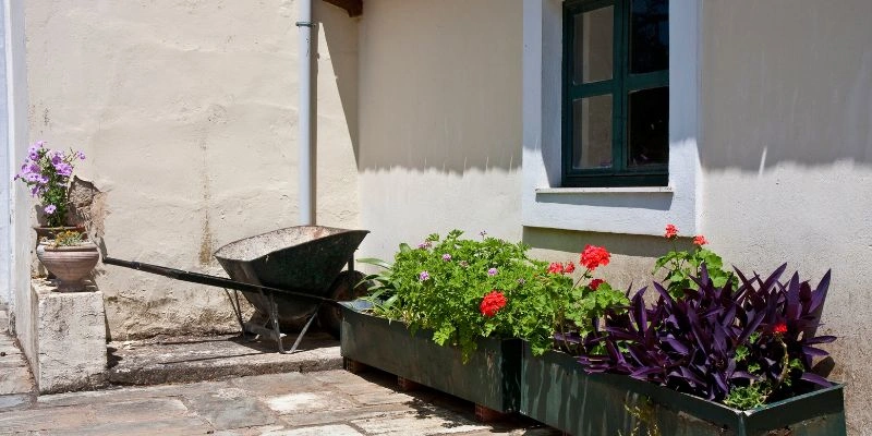 What's the Best Wood for Planter Boxes