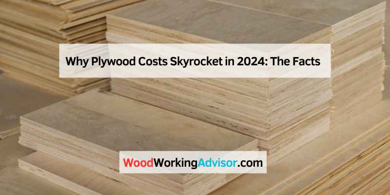 Why Plywood Costs Skyrocket in 2024