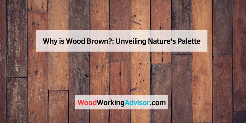 Why is Wood Brown