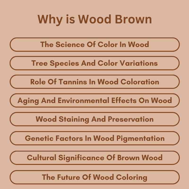Why is Wood Brown