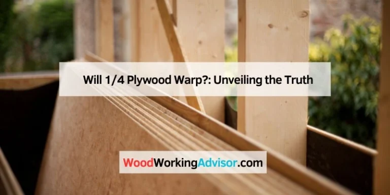 Will 14 Plywood Warp