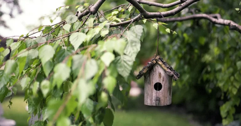 wooden birdhouse hanging from a tree branch in a garden