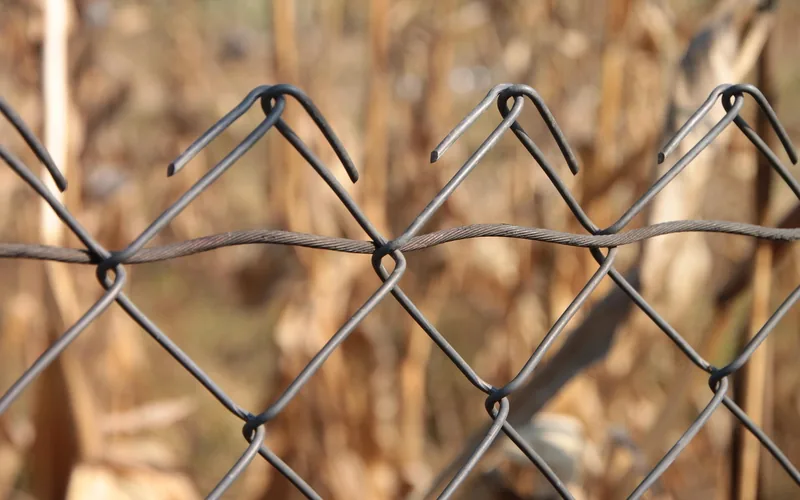 Close-up of chain-link fence wire in sunlight