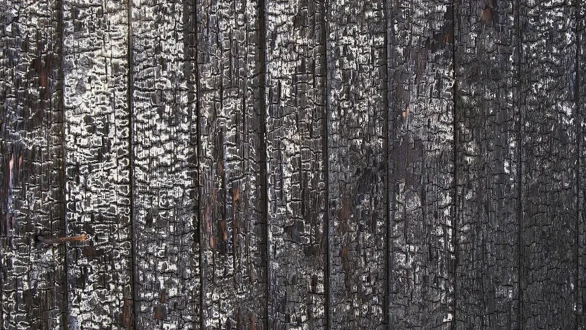 Charred black wood boards with cracked alligator-skin texture